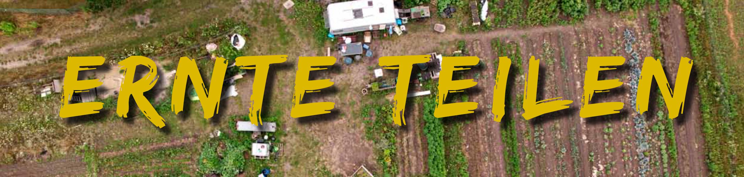 Filme für den Wandel: «ERNTE TEILEN» (D 2023) Ein Film über Solidarische Landwirtschaft